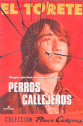 Perros Callejeros