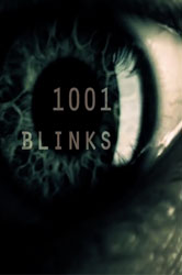1001 Blinks