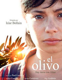 El olivo