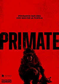 Primate