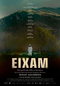 Eixam (enjambre)
